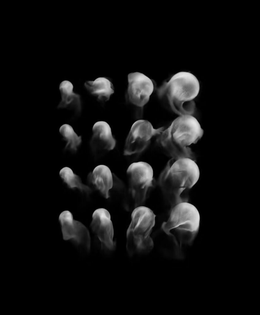 3 years warranty included