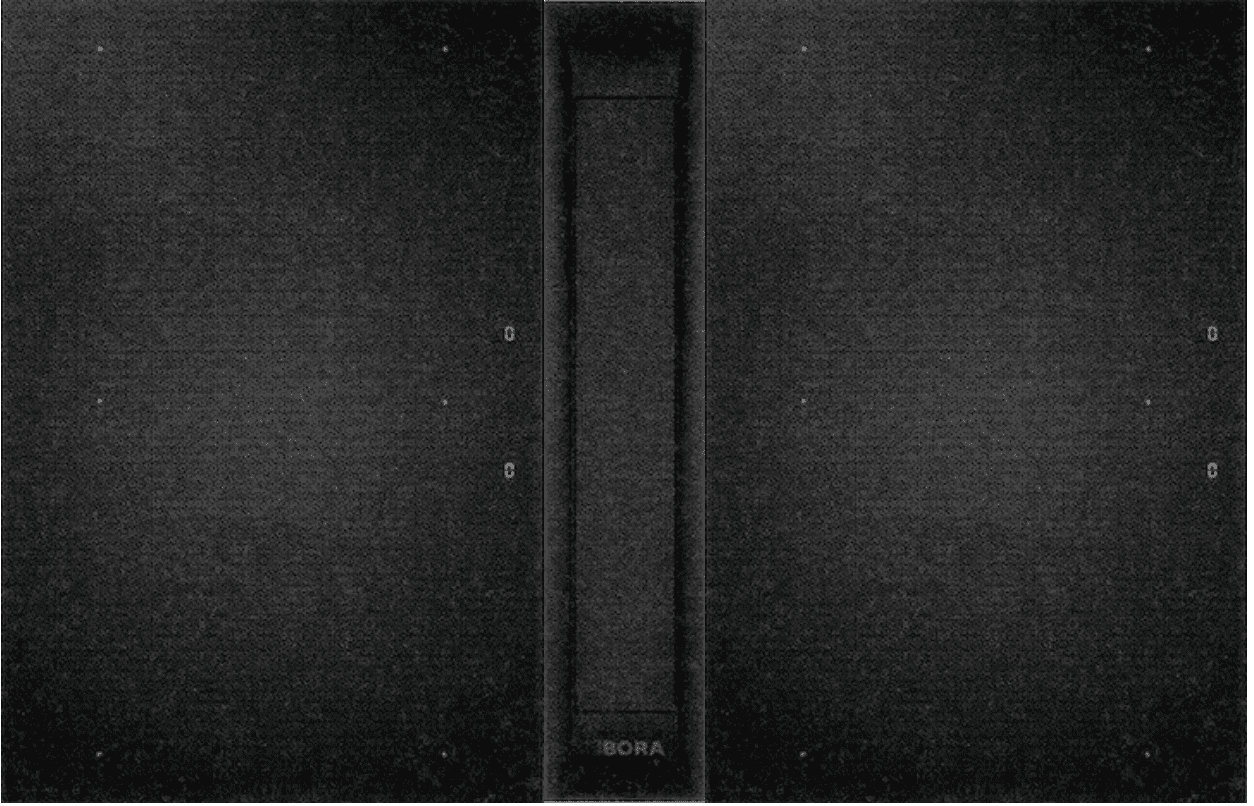 PRO3.0 DUO-2I MAT - Bora Cooktop Extractor