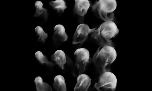 3 years warranty included